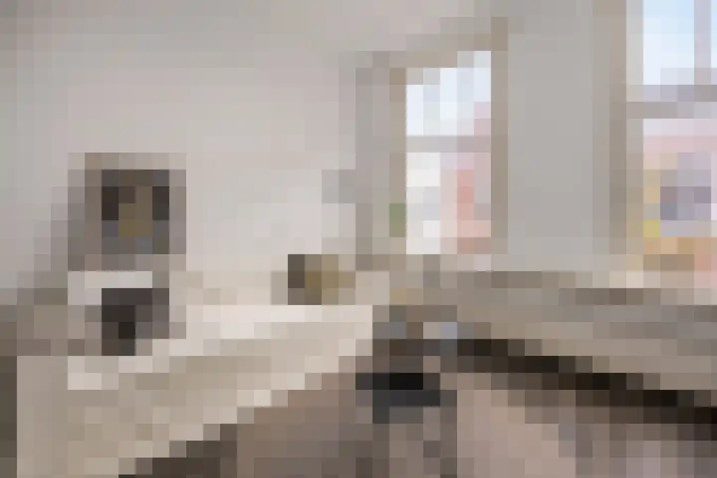 Westzijde 73 B Zaandam thumbnail 6