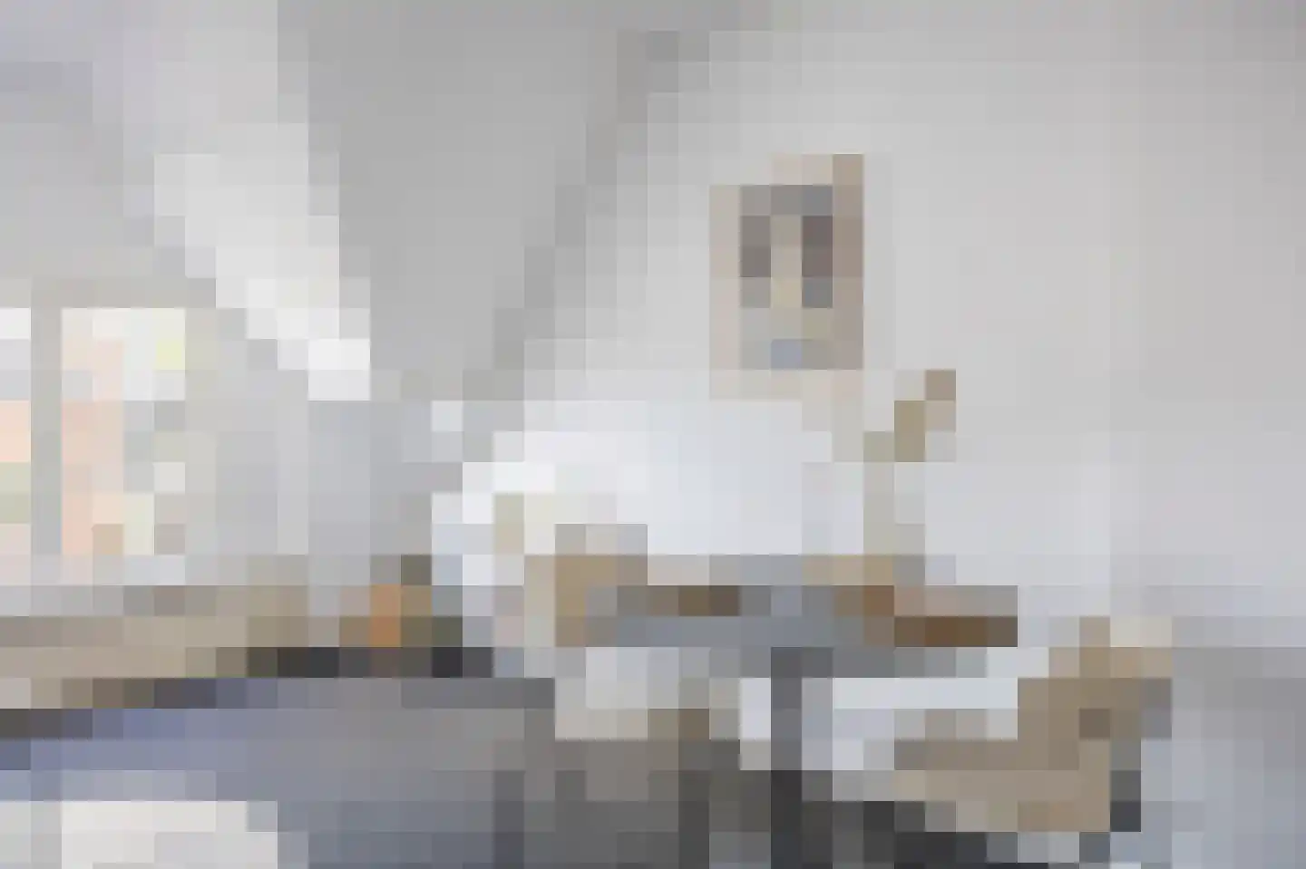 Westzijde 73 D Zaandam thumbnail 4