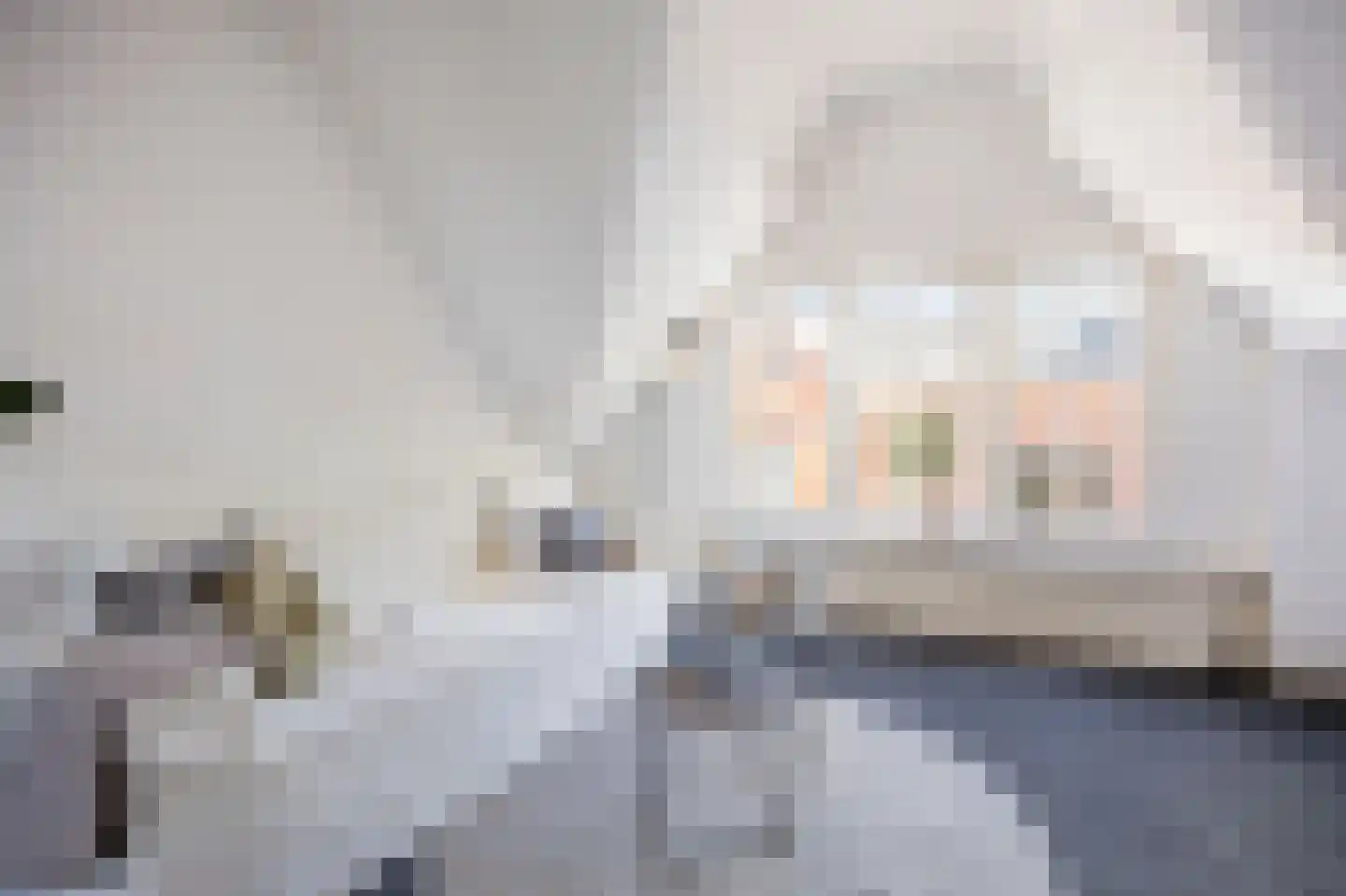 Westzijde 73 D Zaandam thumbnail 6