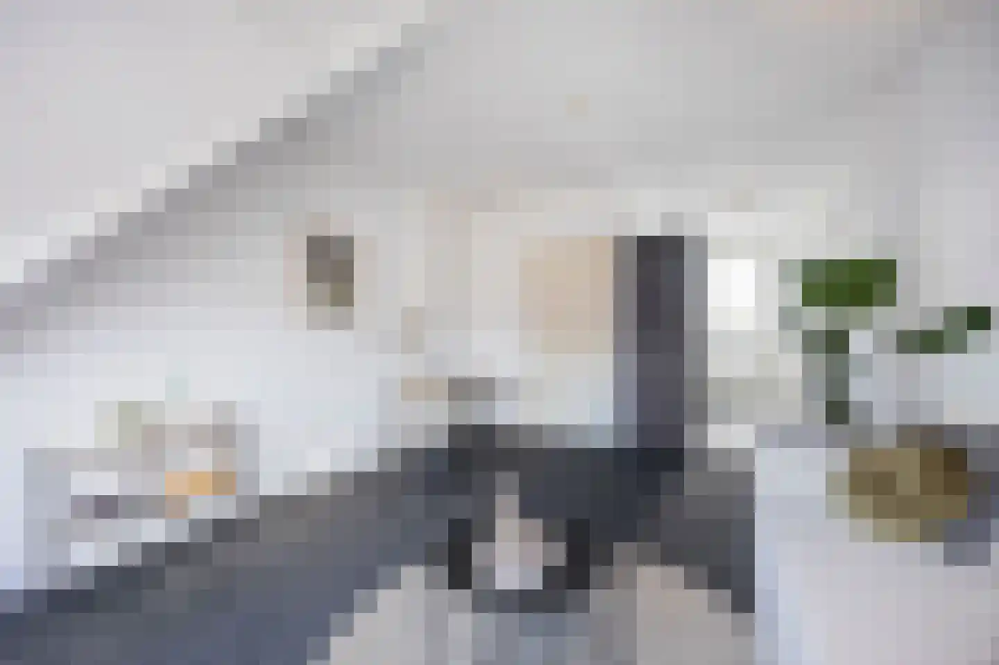 Westzijde 73 D Zaandam thumbnail 7