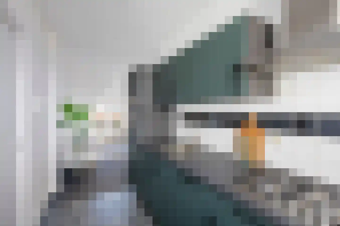 Westzijde 73 D Zaandam thumbnail 8