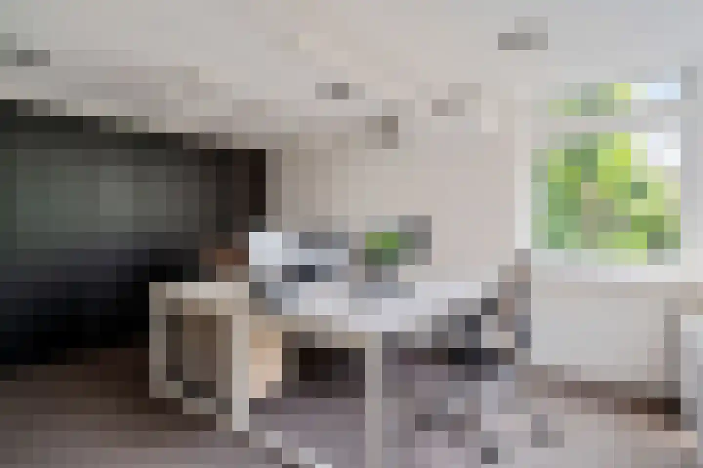 Westzijde 81 Zaandam thumbnail 10