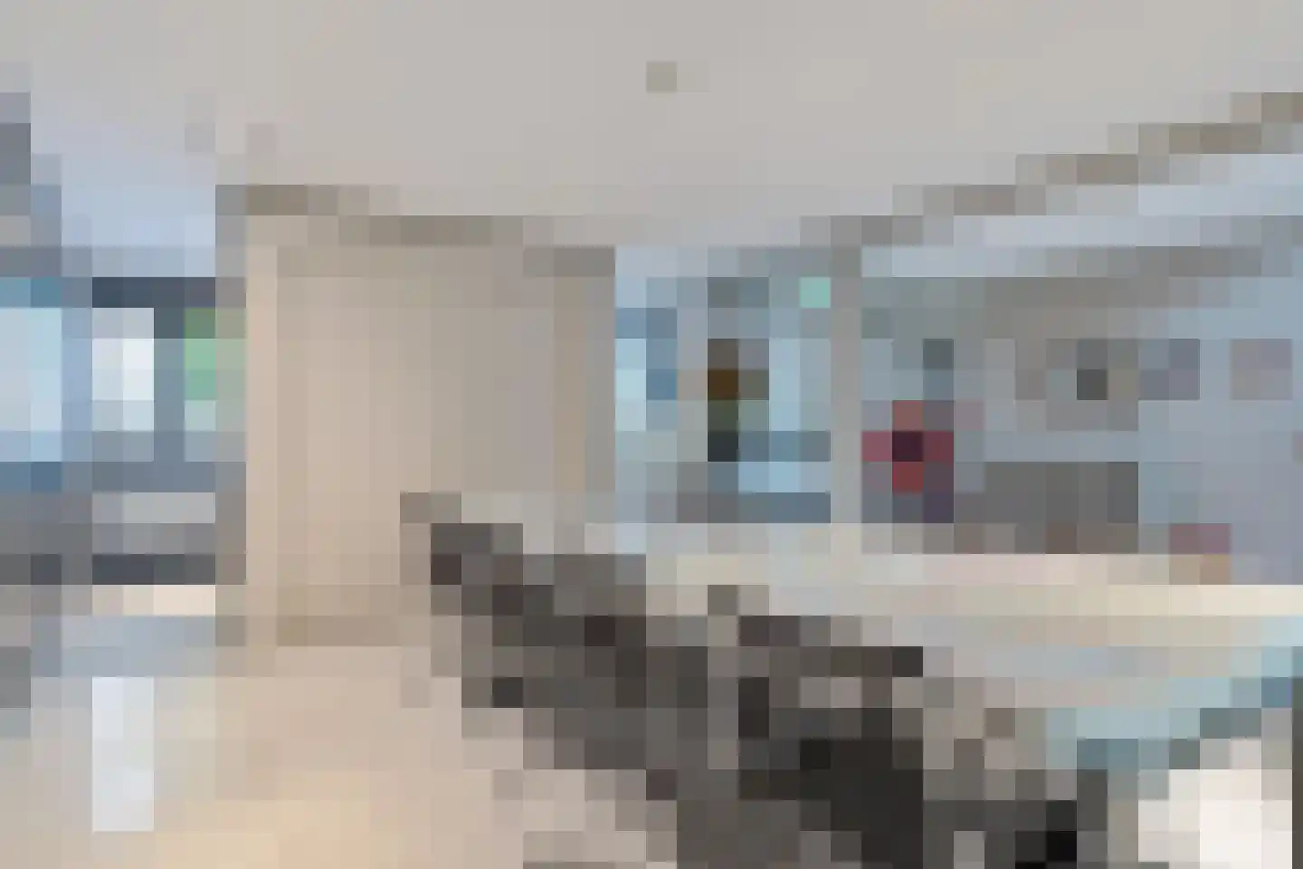 Westzijde 81 Zaandam thumbnail 12