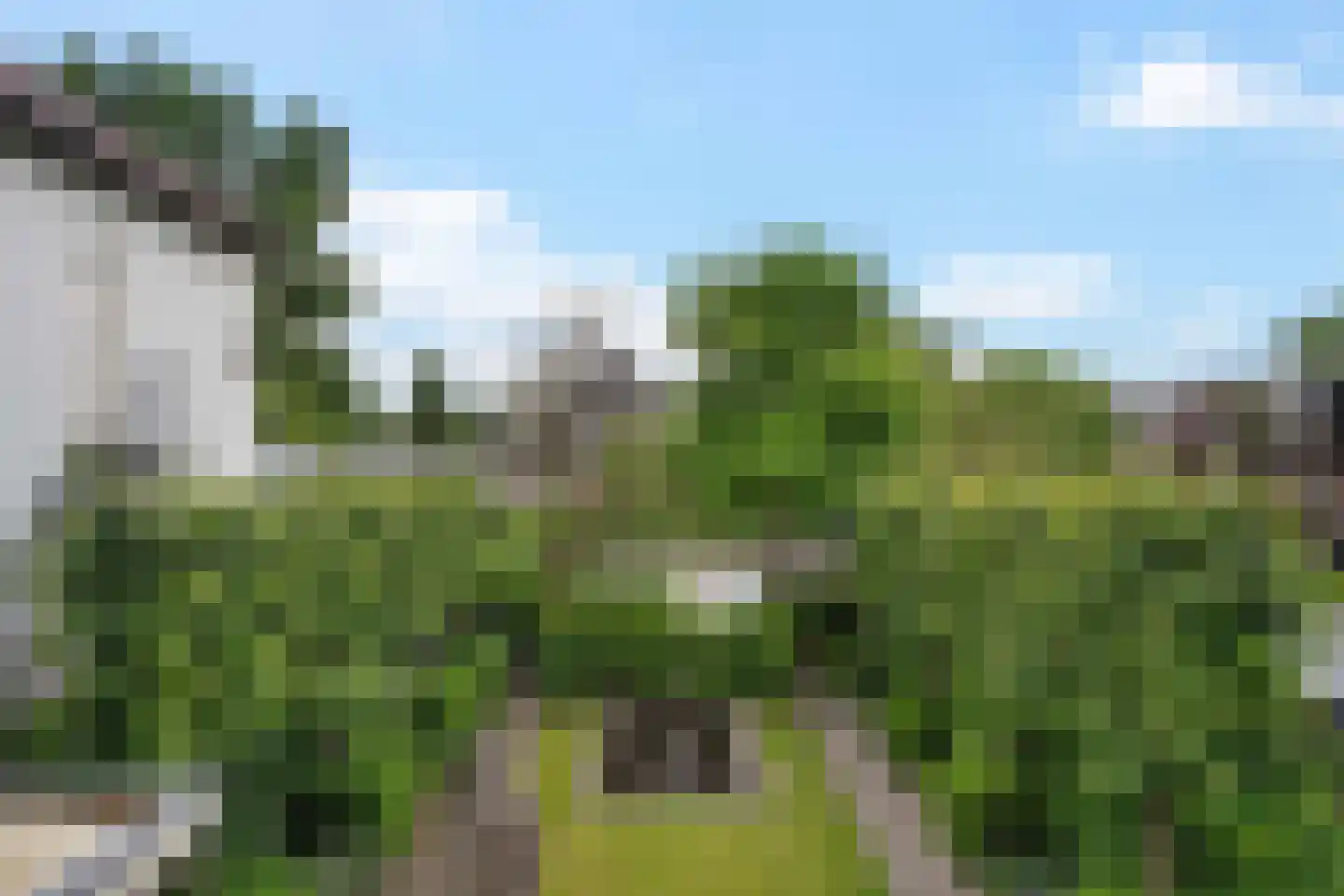 Westzijde 81 Zaandam thumbnail 36