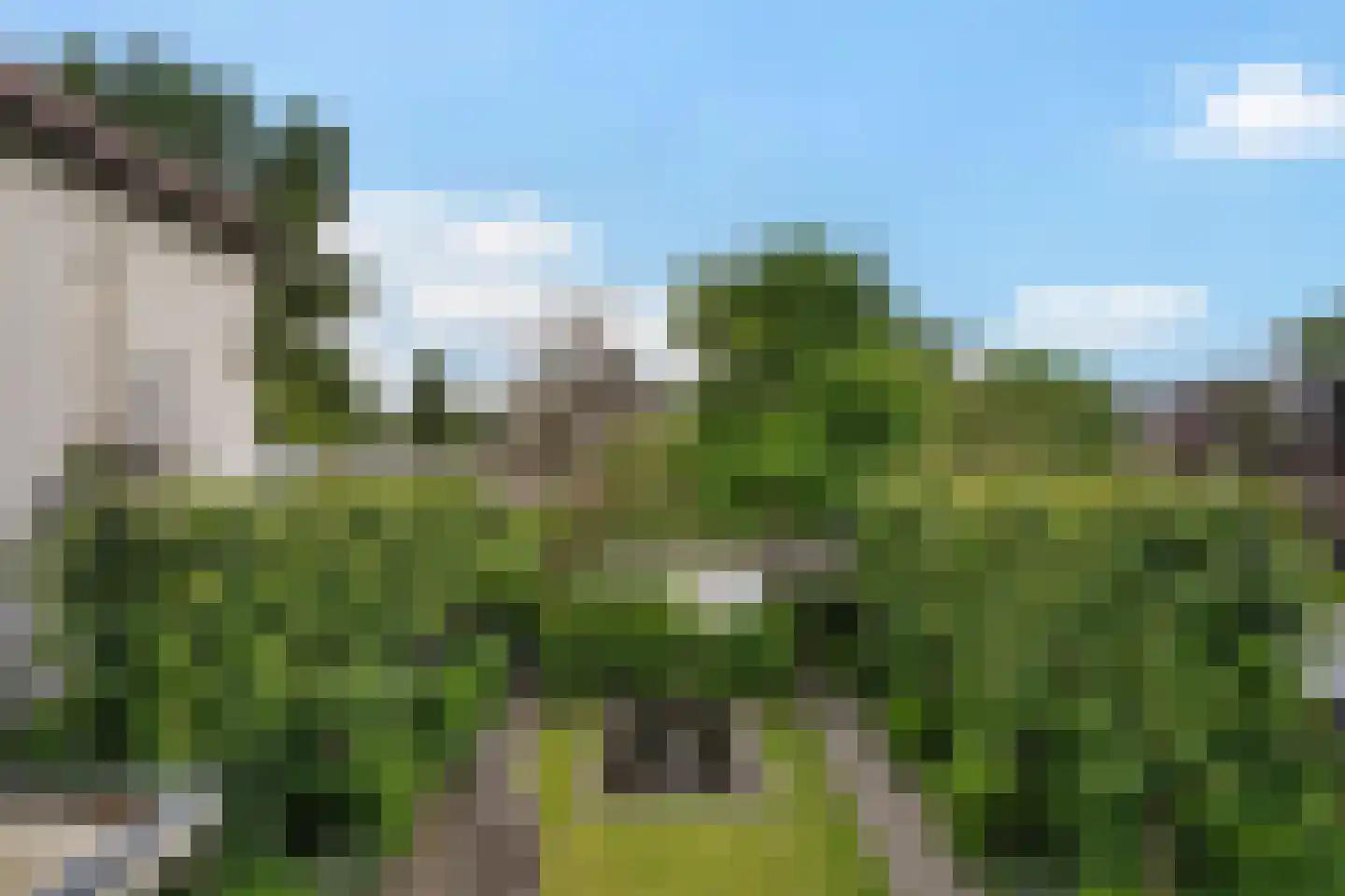 Westzijde 81 Zaandam thumbnail 7