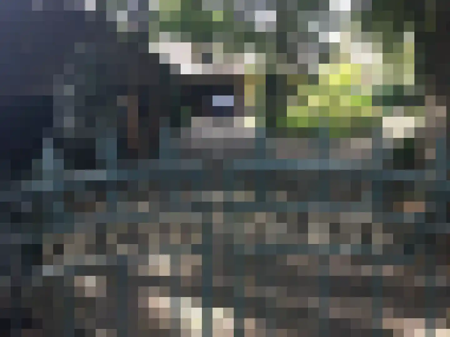 Westzijdeweg 77 Hazerswoude-Dorp thumbnail 10