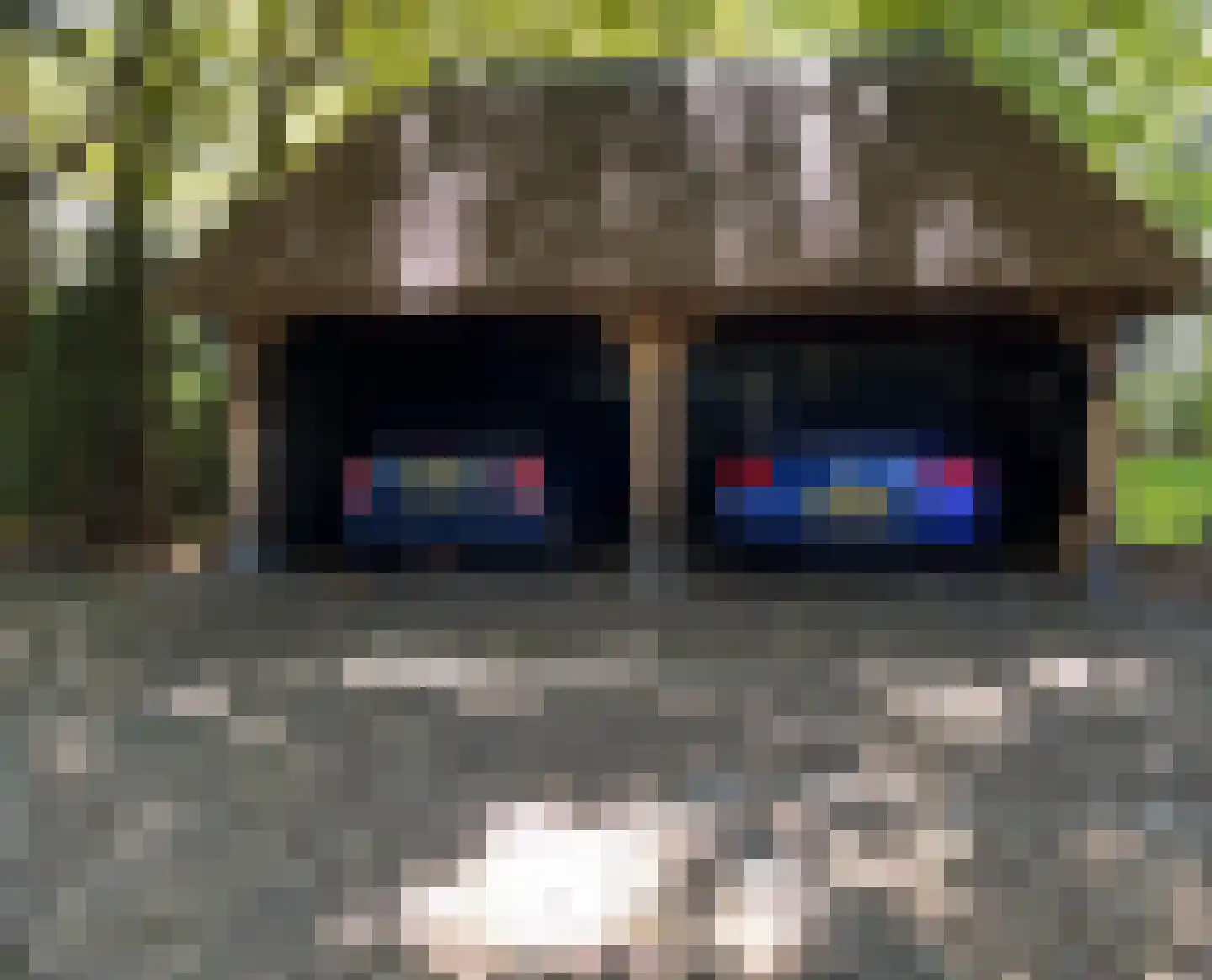 Westzijdeweg 77 Hazerswoude-Dorp thumbnail 11
