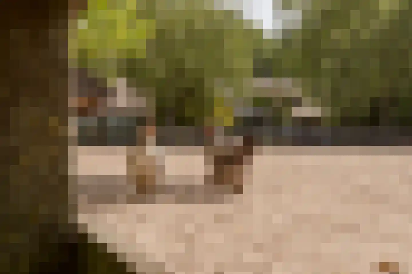 Westzijdeweg 77 Hazerswoude-Dorp thumbnail 18