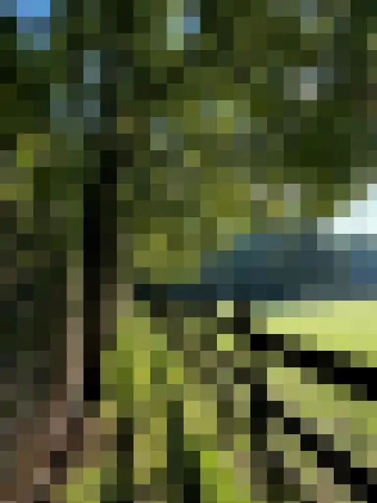 Westzijdeweg 77 Hazerswoude-Dorp thumbnail 20