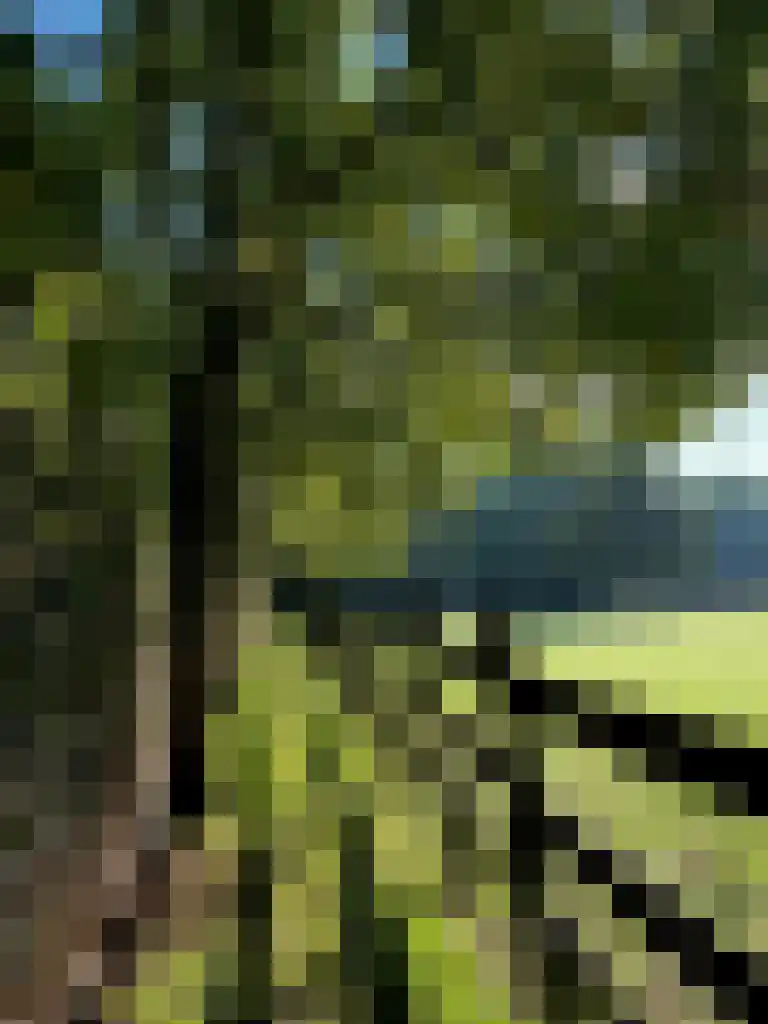 Westzijdeweg 77 Hazerswoude-Dorp thumbnail 25