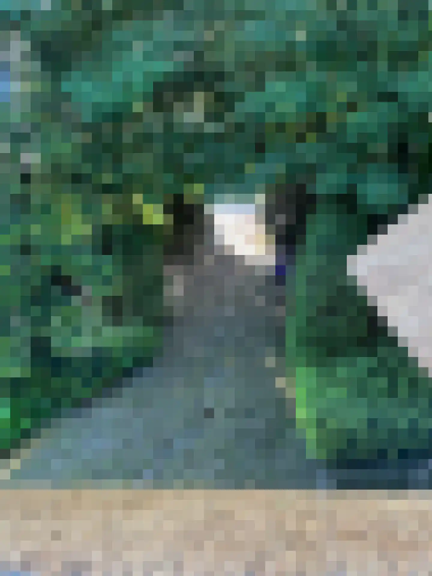 Westzijdeweg 77 Hazerswoude-Dorp thumbnail 28