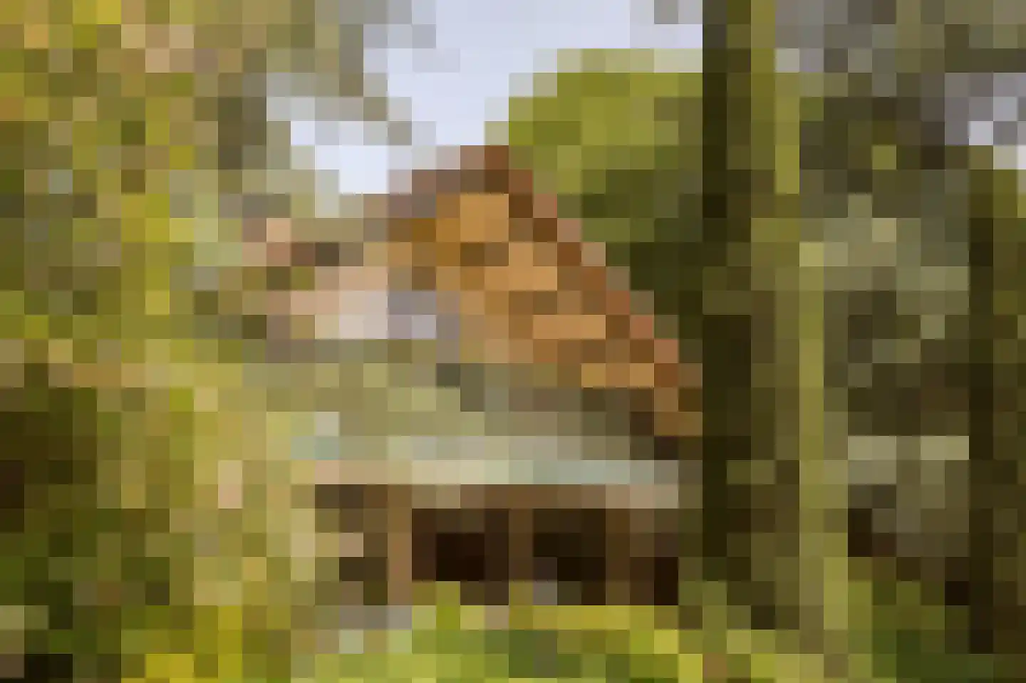 Westzijdeweg 77 Hazerswoude-Dorp thumbnail 30