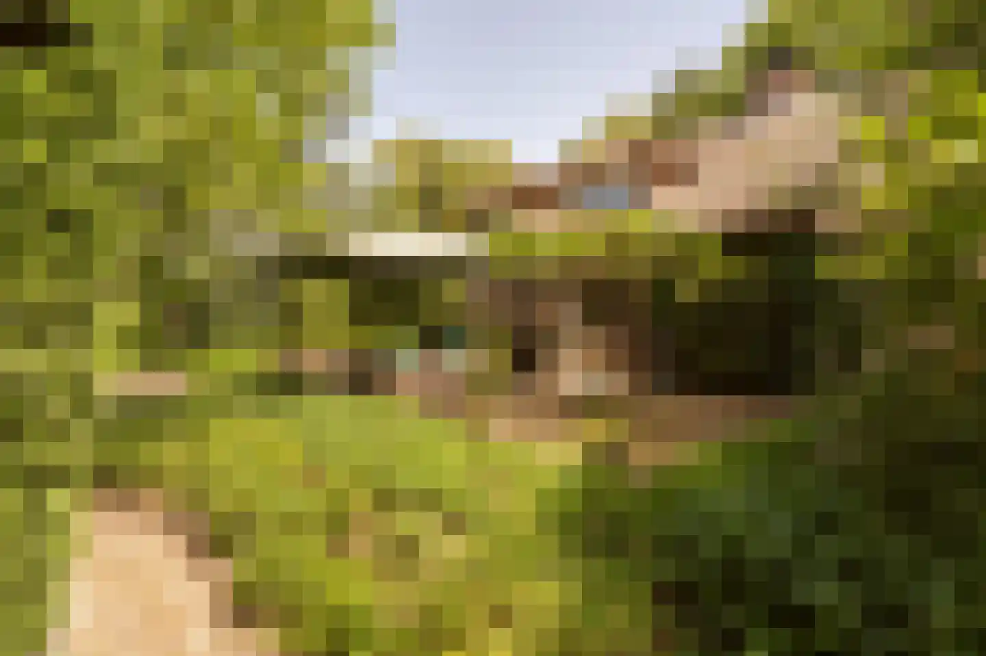 Westzijdeweg 77 Hazerswoude-Dorp thumbnail 4