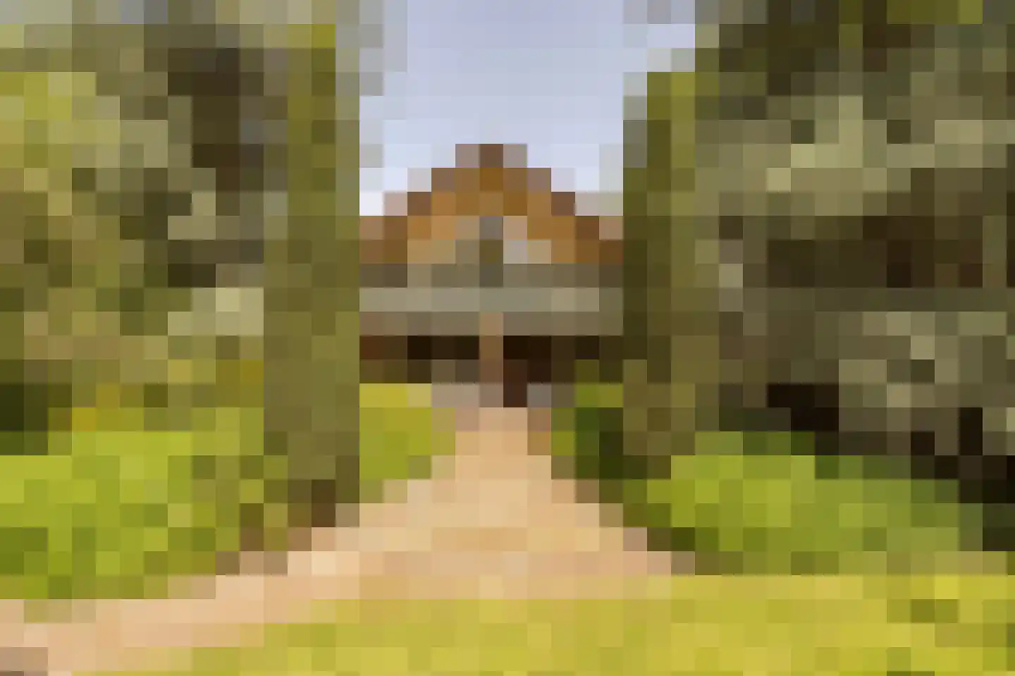Westzijdeweg 77 Hazerswoude-Dorp thumbnail 6