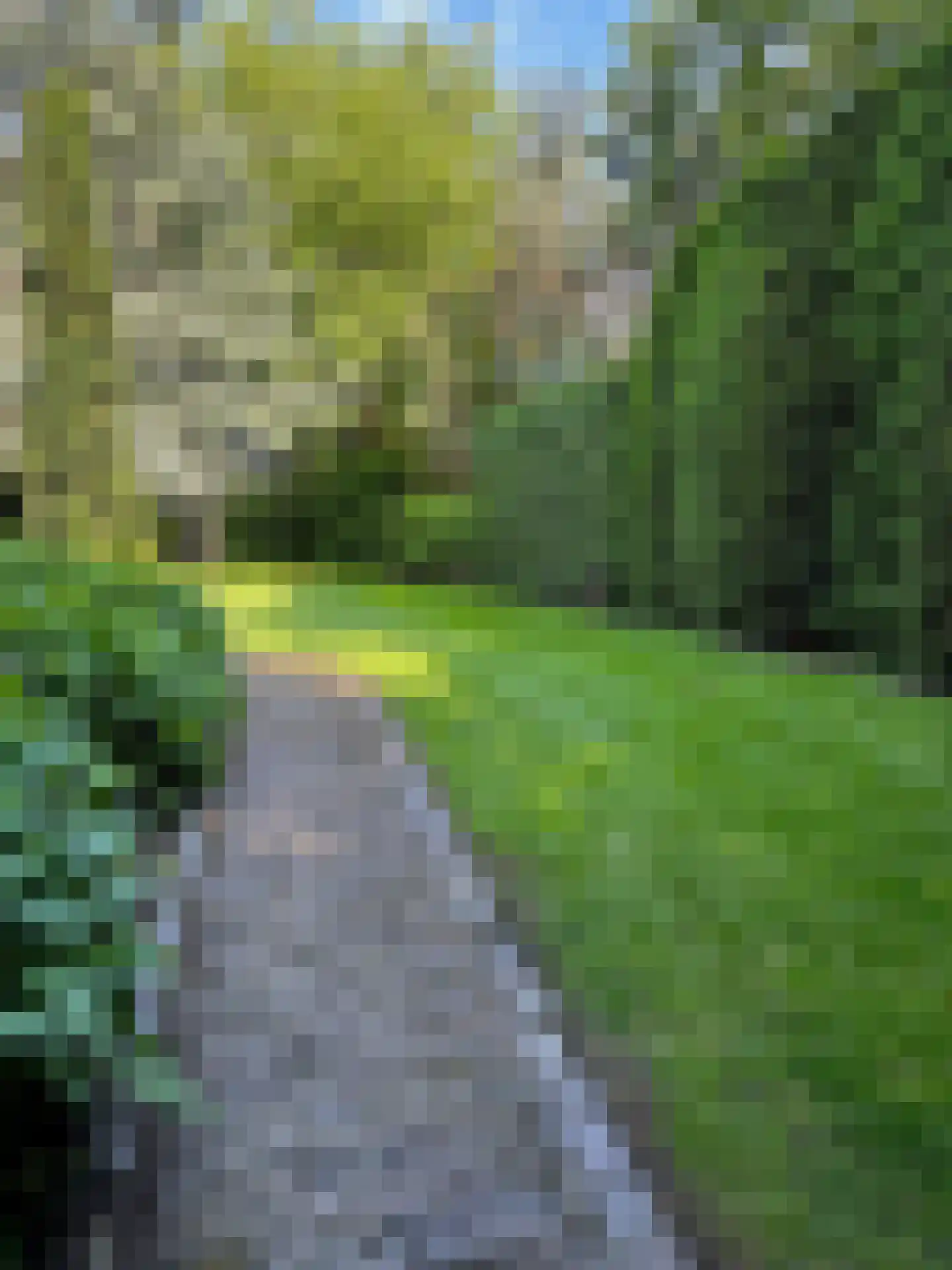 Westzijdeweg 77 Hazerswoude-Dorp thumbnail 64
