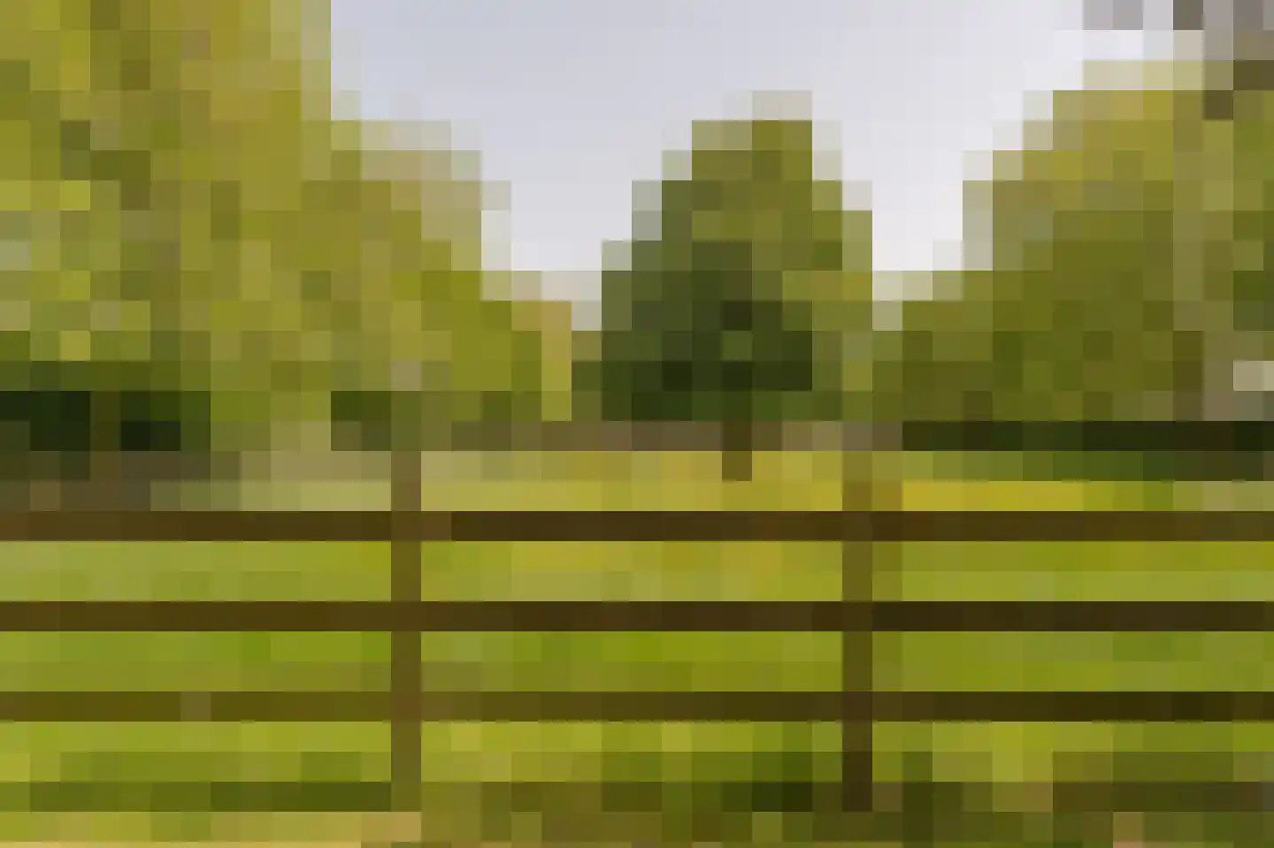 Westzijdeweg 77 Hazerswoude-Dorp thumbnail 7