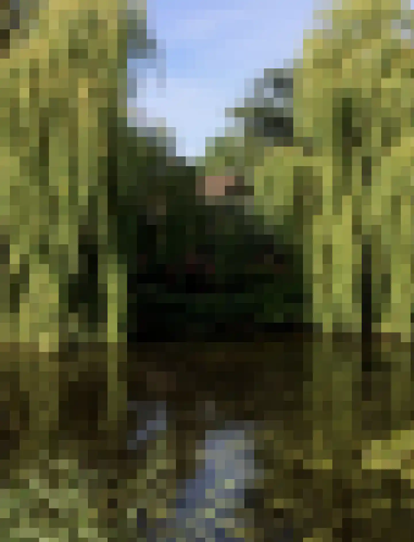 Westzijdeweg 77 Hazerswoude-Dorp thumbnail 8