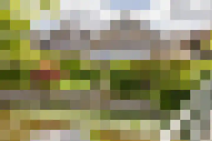 Wetering 1 Giessenburg