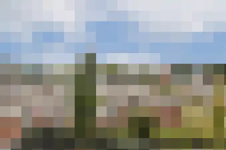 Wetering 100 Blaricum thumbnail 10
