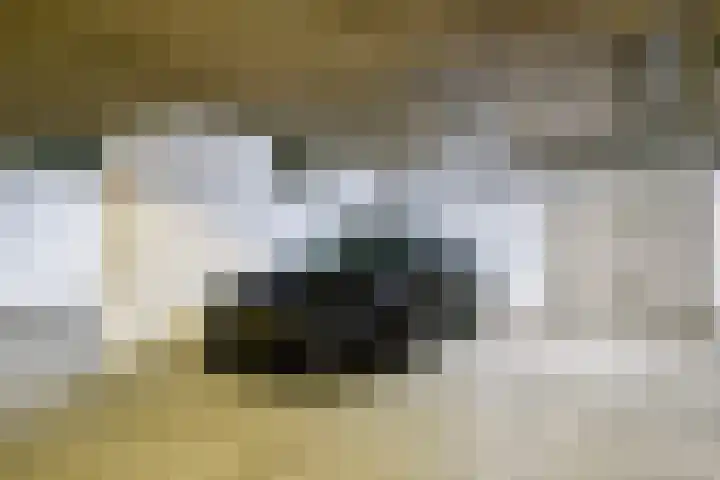 Wetering 100 Blaricum thumbnail 21