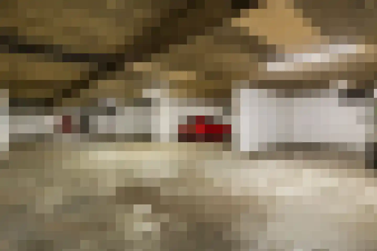 Wetering 16 Blaricum thumbnail 18