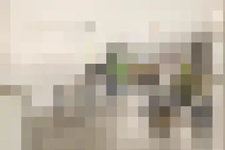 Wetering 16 Spaarndam thumbnail 13