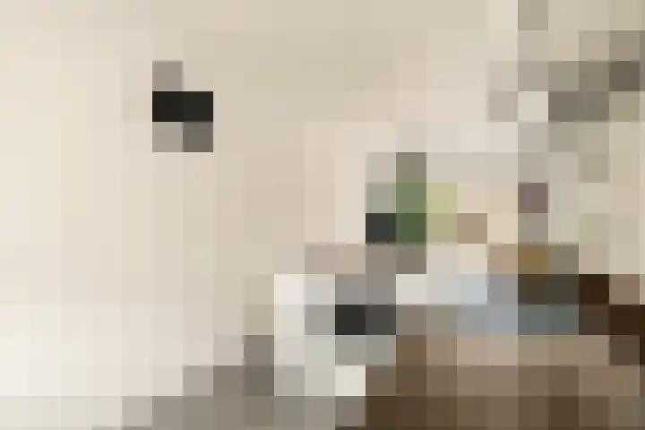 Wetering 16 Spaarndam thumbnail 22