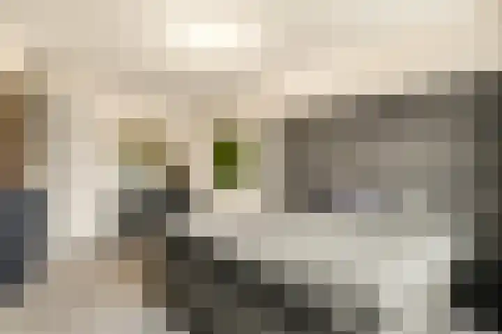 Wetering 16 Spaarndam thumbnail 39