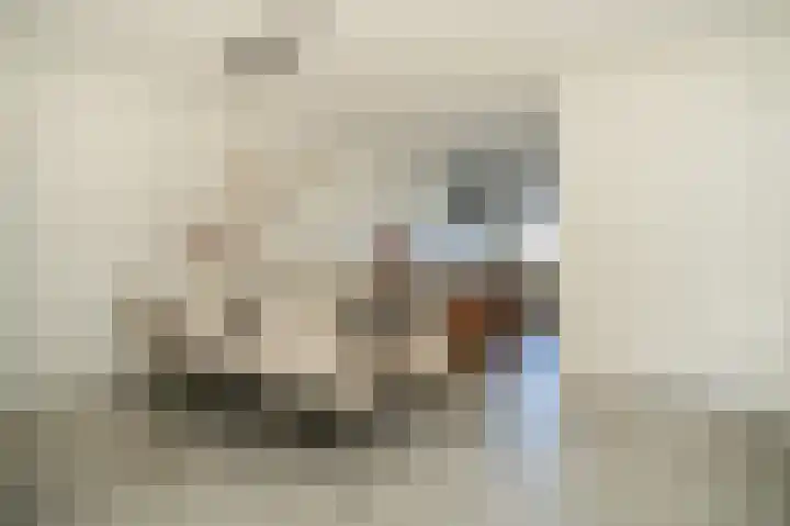 Wetering 20 Rossum thumbnail 10