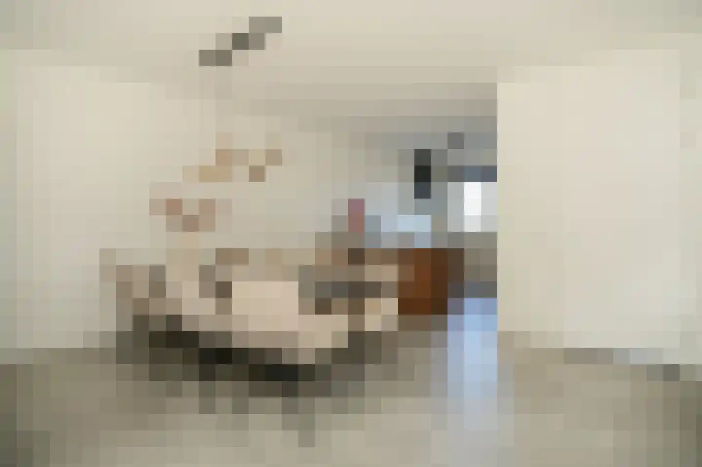 Wetering 20 Rossum thumbnail 11