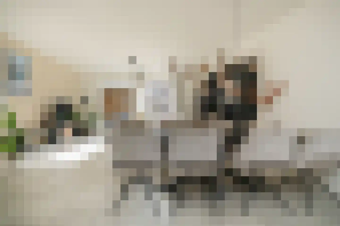 Wetering 20 Rossum thumbnail 12