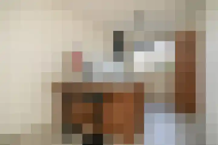 Wetering 20 Rossum thumbnail 13