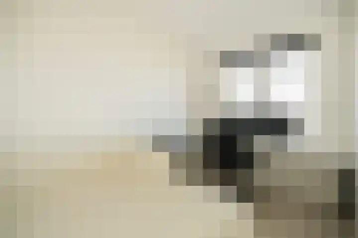 Wetering 20 Rossum thumbnail 23