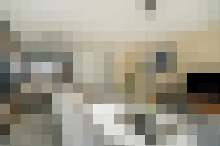 Wetering 20 Rossum thumbnail 4