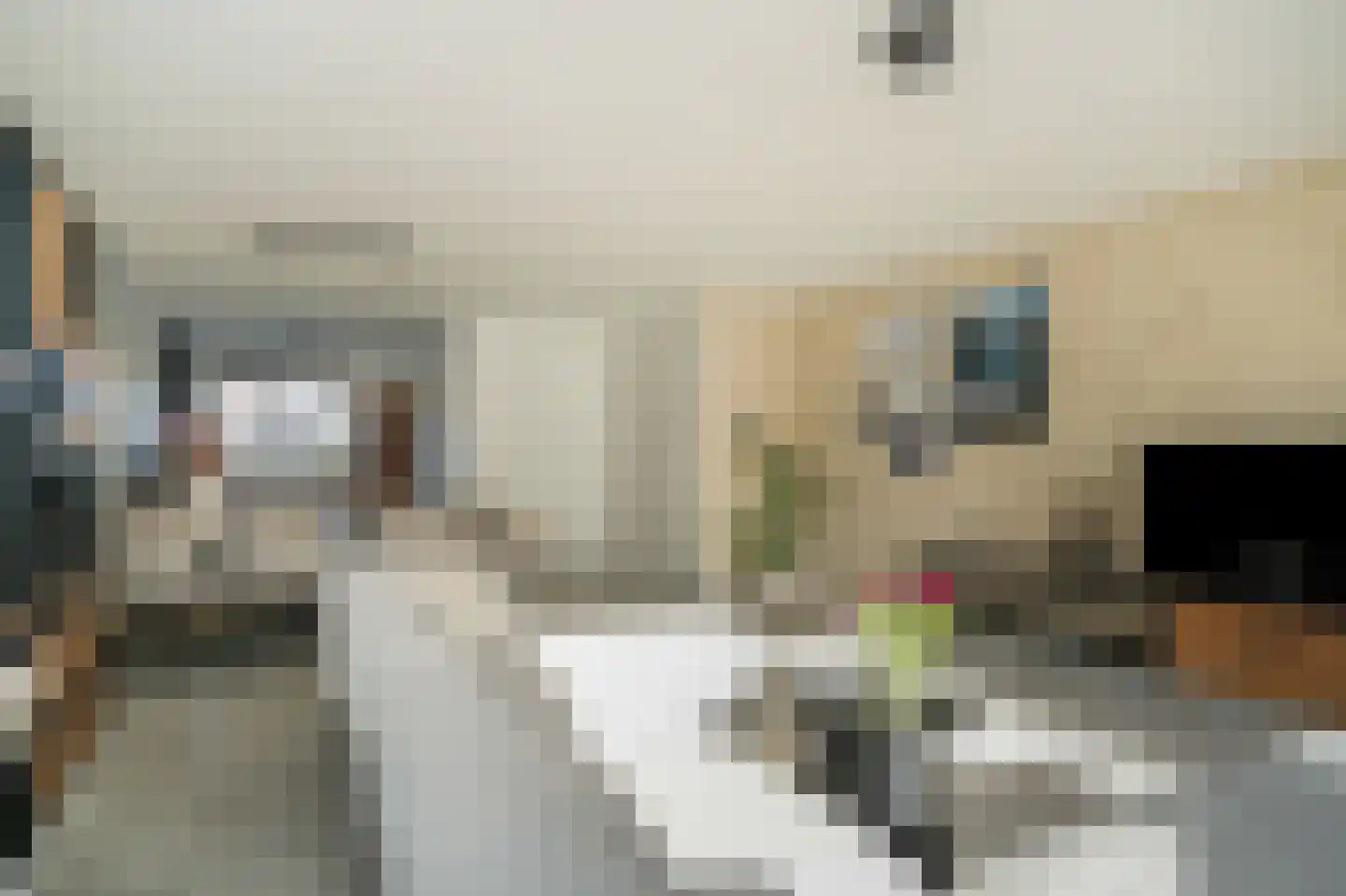 Wetering 20 Rossum thumbnail 5