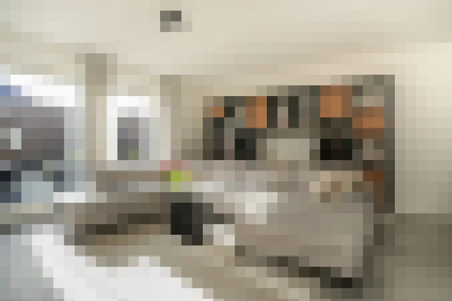 Wetering 20 Rossum thumbnail 7