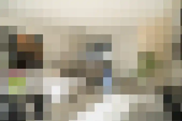 Wetering 20 Rossum thumbnail 7