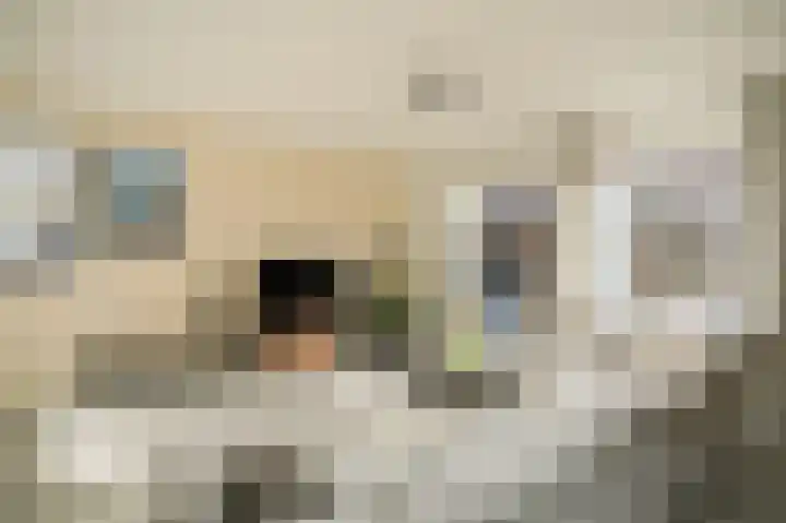Wetering 20 Rossum thumbnail 8
