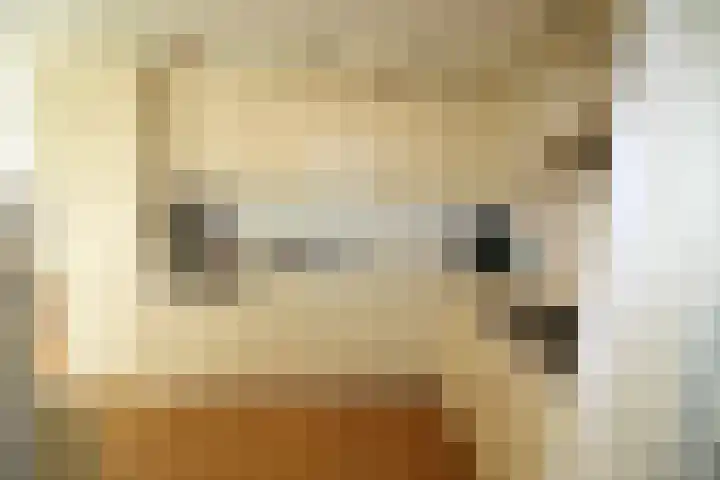 Wetering 20 Vriezenveen thumbnail 10