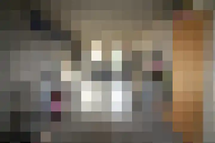 Wetering 20 Vriezenveen thumbnail 13