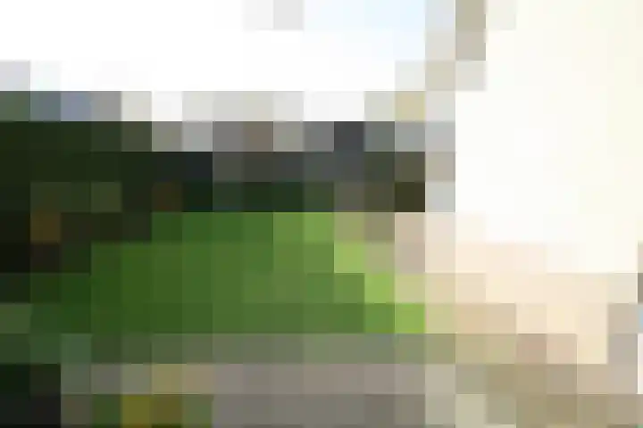 Wetering 20 Vriezenveen thumbnail 24