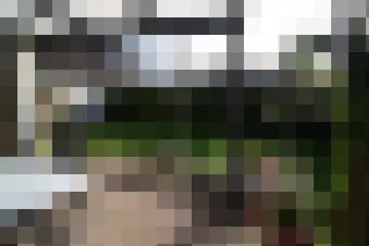Wetering 20 Vriezenveen thumbnail 26