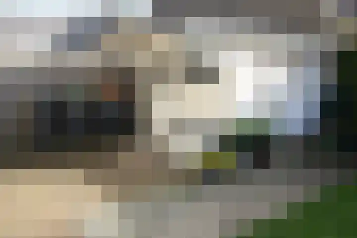 Wetering 20 Vriezenveen thumbnail 30