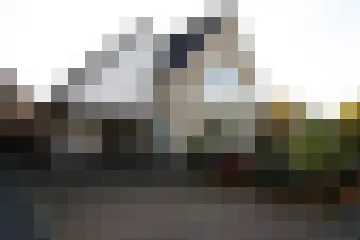 Wetering 20 Vriezenveen thumbnail 32