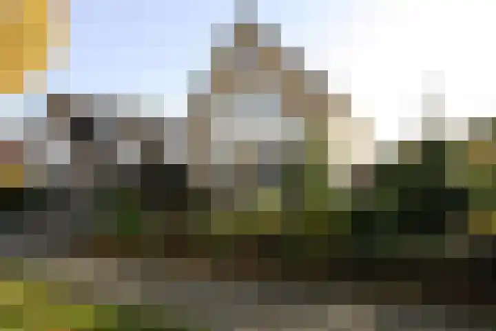 Wetering 20 Vriezenveen thumbnail 33