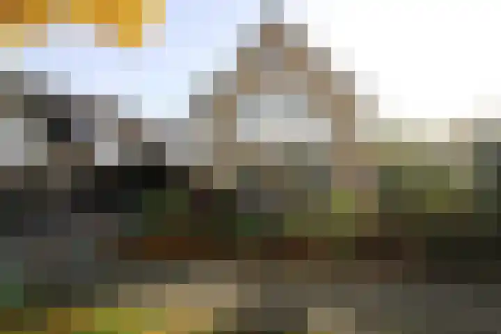 Wetering 20 Vriezenveen thumbnail 34