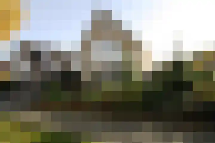 Wetering 20 Vriezenveen thumbnail 35