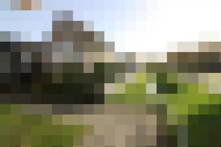 Wetering 20 Vriezenveen thumbnail 36