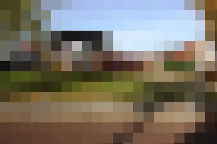 Wetering 20 Vriezenveen thumbnail 38