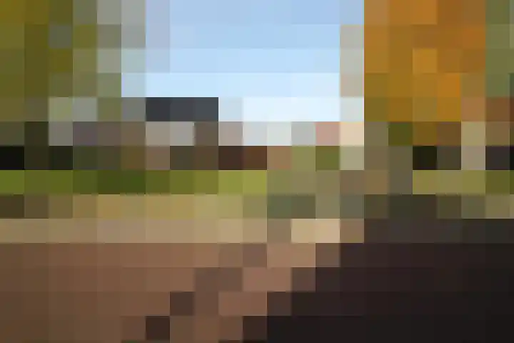Wetering 20 Vriezenveen thumbnail 39